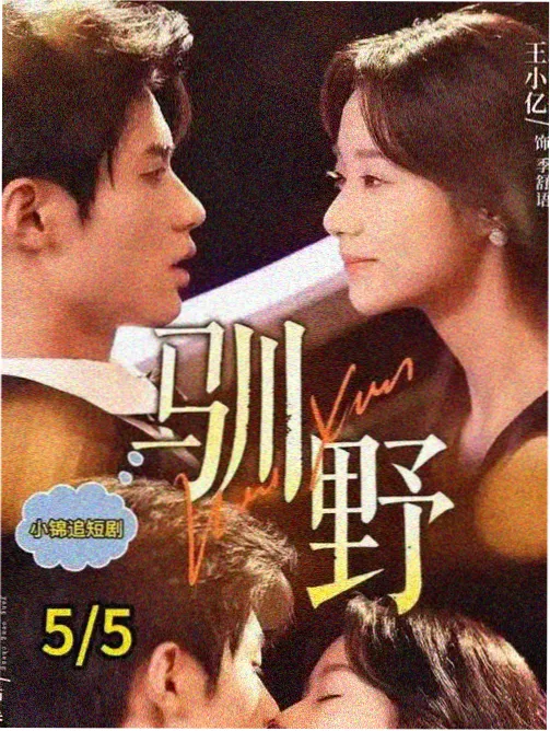 动态图形包装课程封面